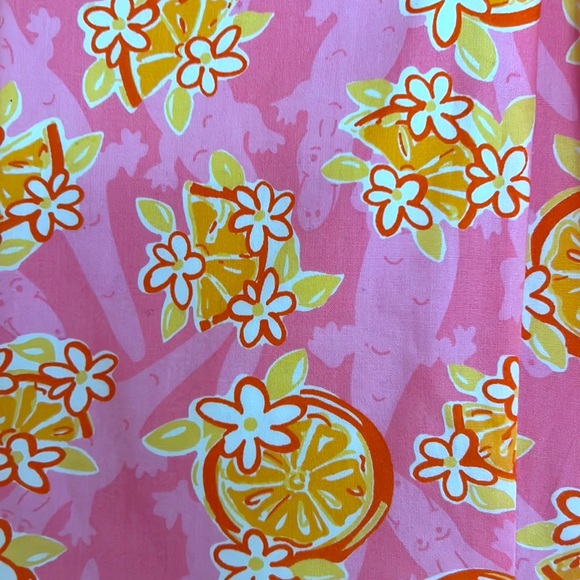 Lilly Pulitzer dress - Picture 2 of 4